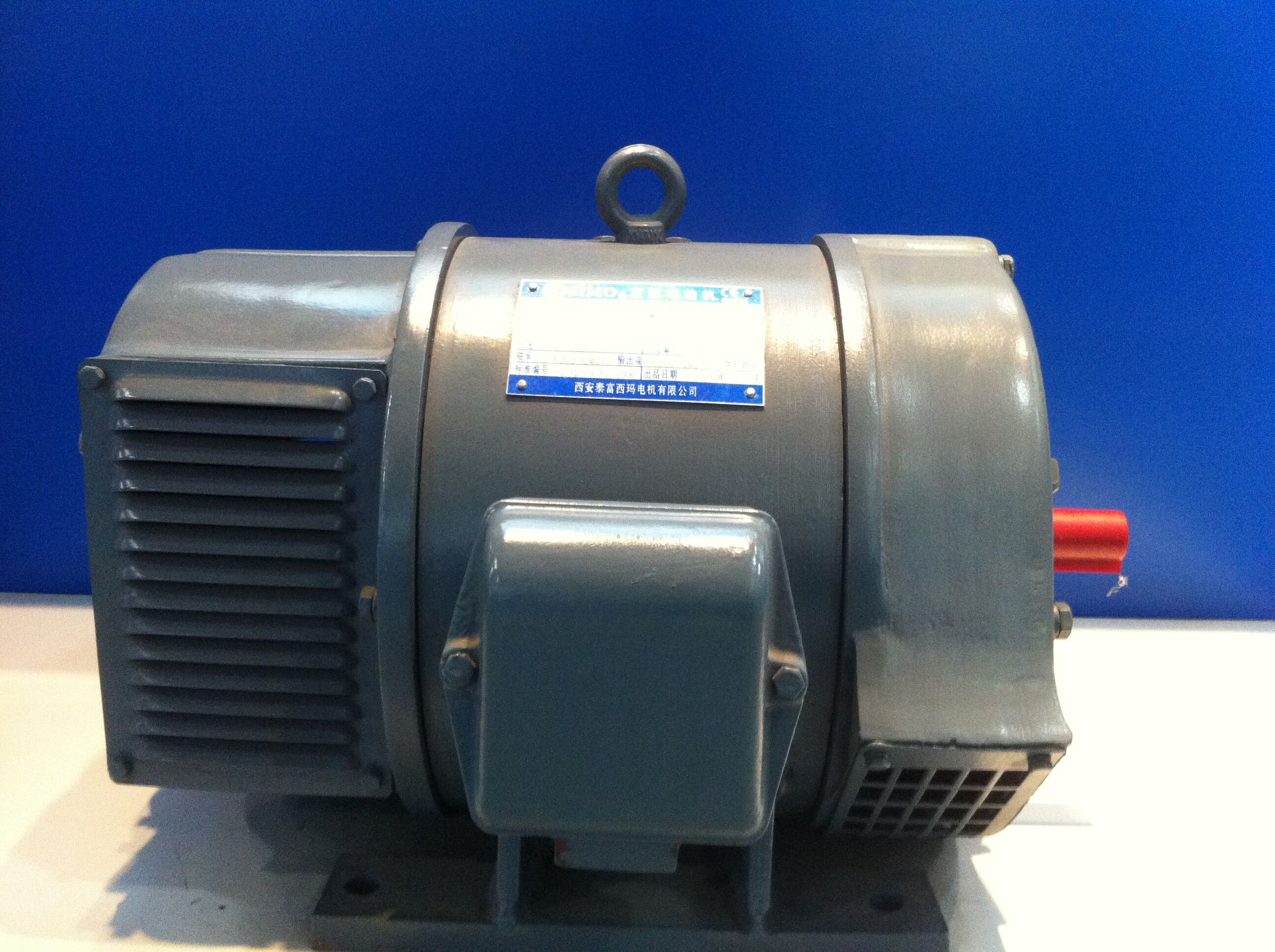 Z2-11 0.8KW 3000r/min 西安泰富西瑪